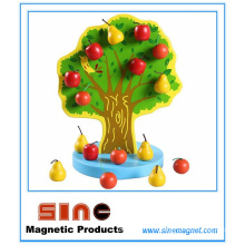 Juguete magnético de madera del árbol frutal / juguete educativo